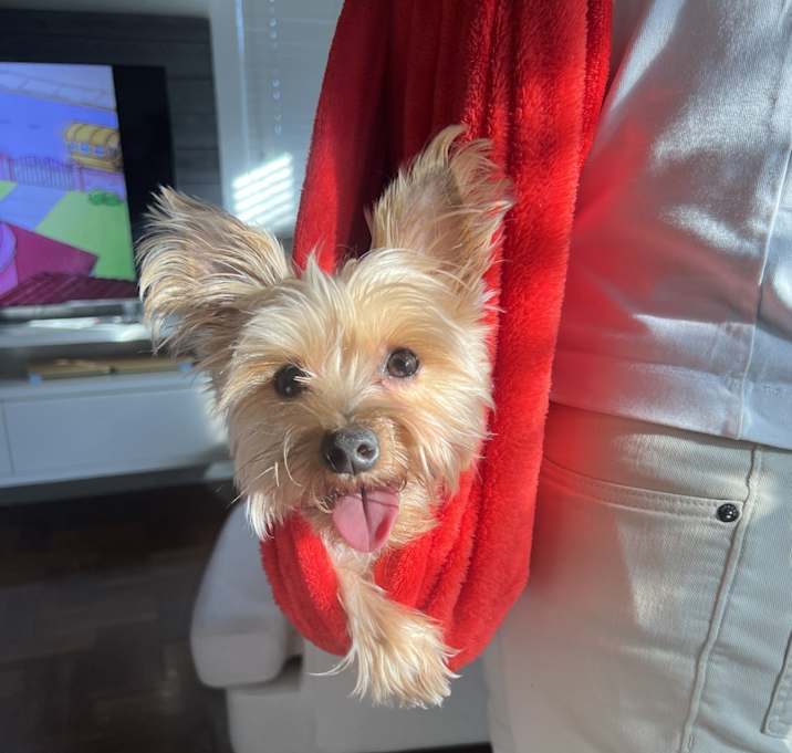 Photo of Astro