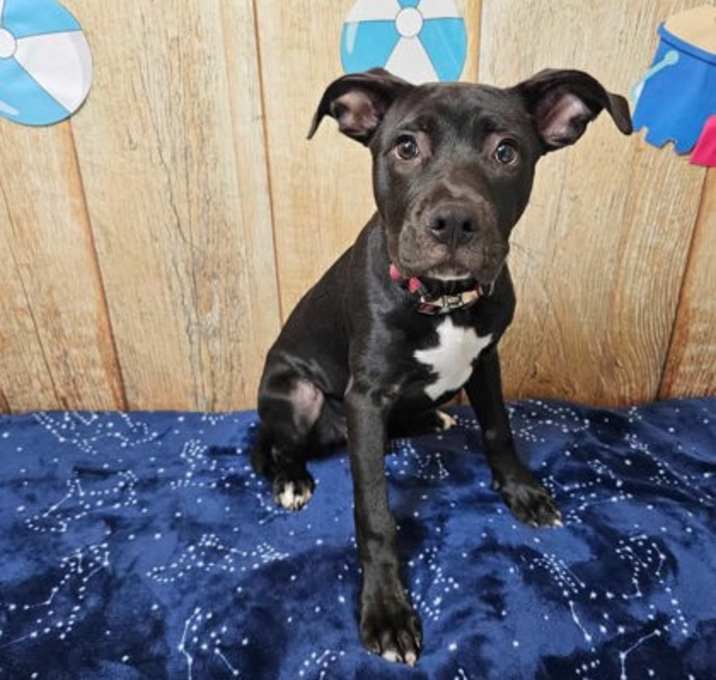 Photo of Zeus