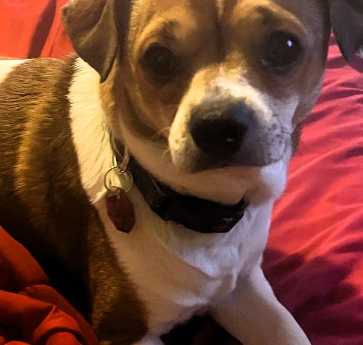 Photo of Tommy