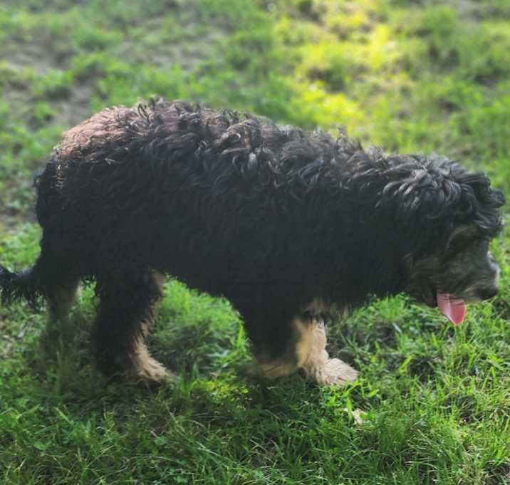 Photo of Bernie
