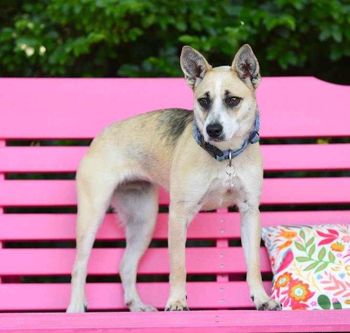 Photo of Jewel