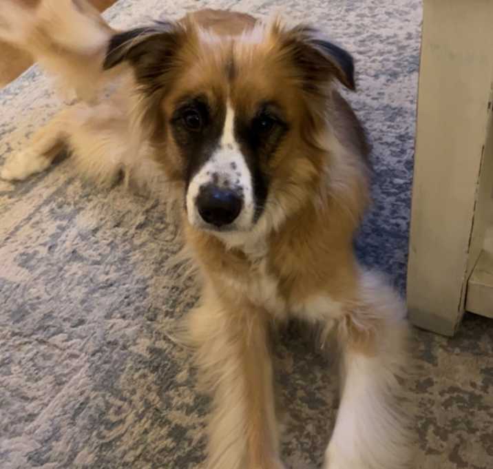 Photo of Maisey