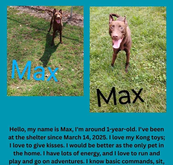 Photo of Max