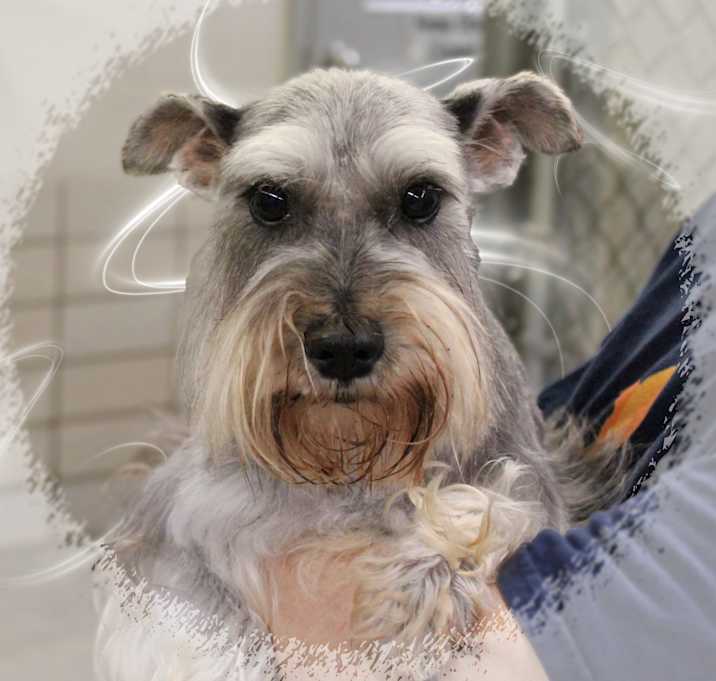 Photo of Heidi