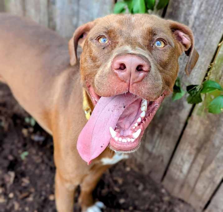 Photo of Reno