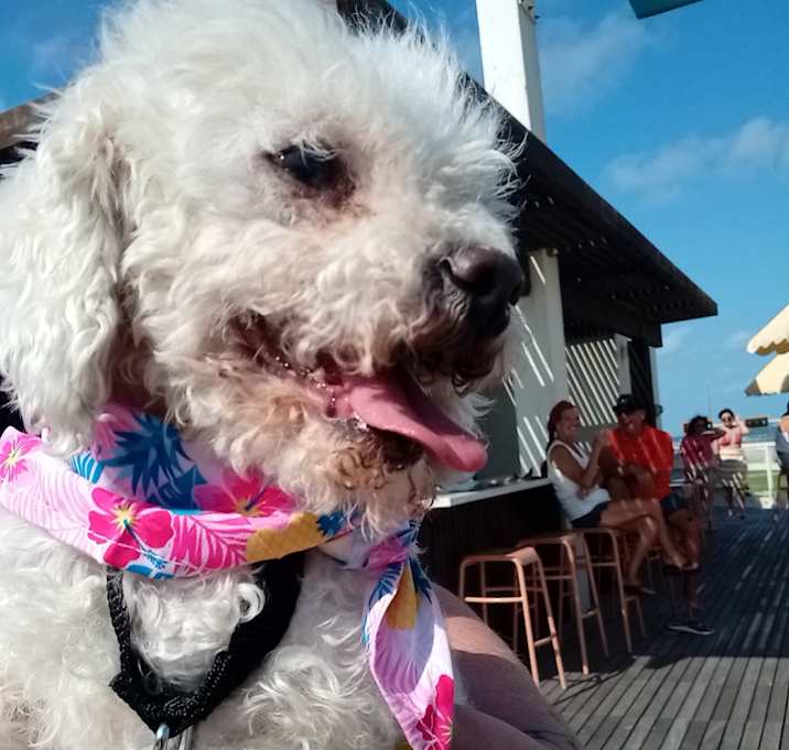 Photo of Chloe 