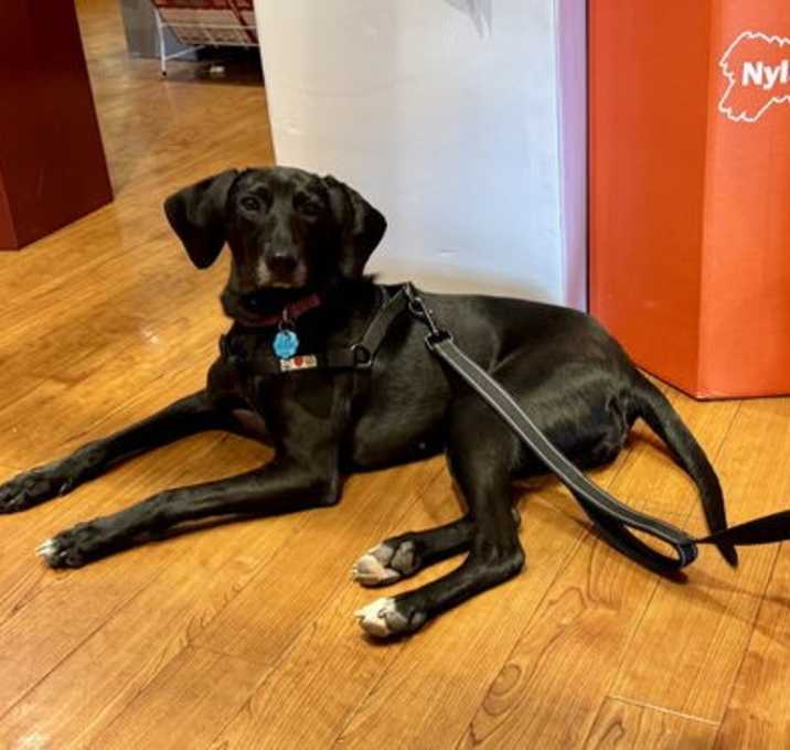 Photo of Hazel