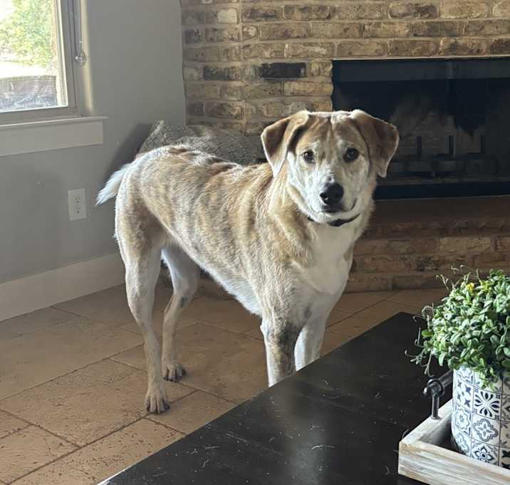 Photo of Lola