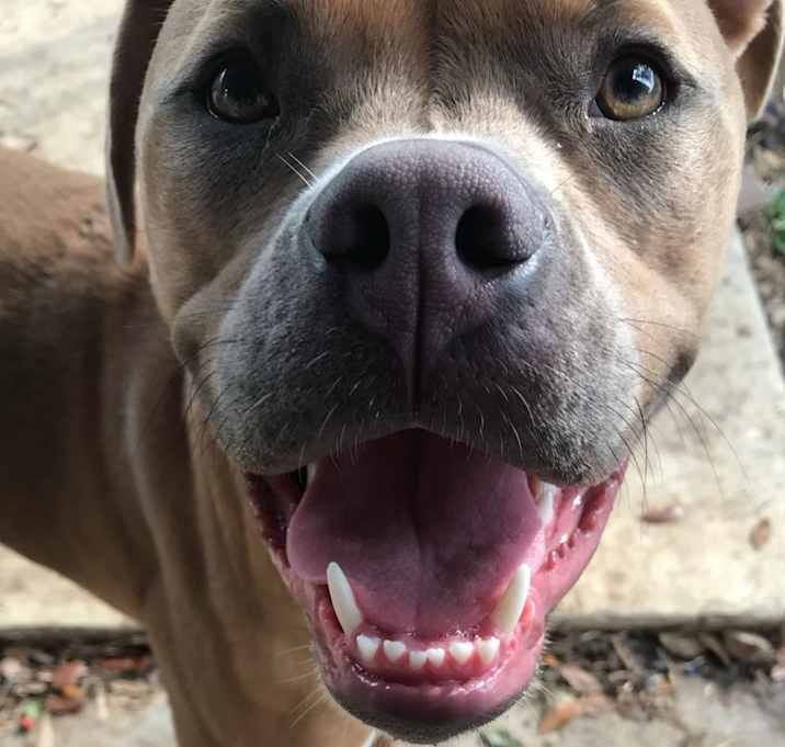 Photo of Blue