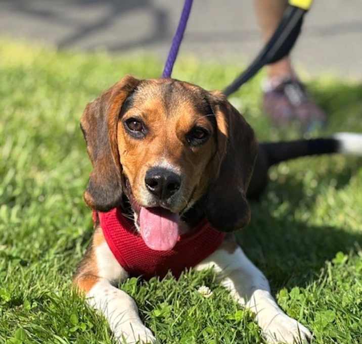 Photo of Lily