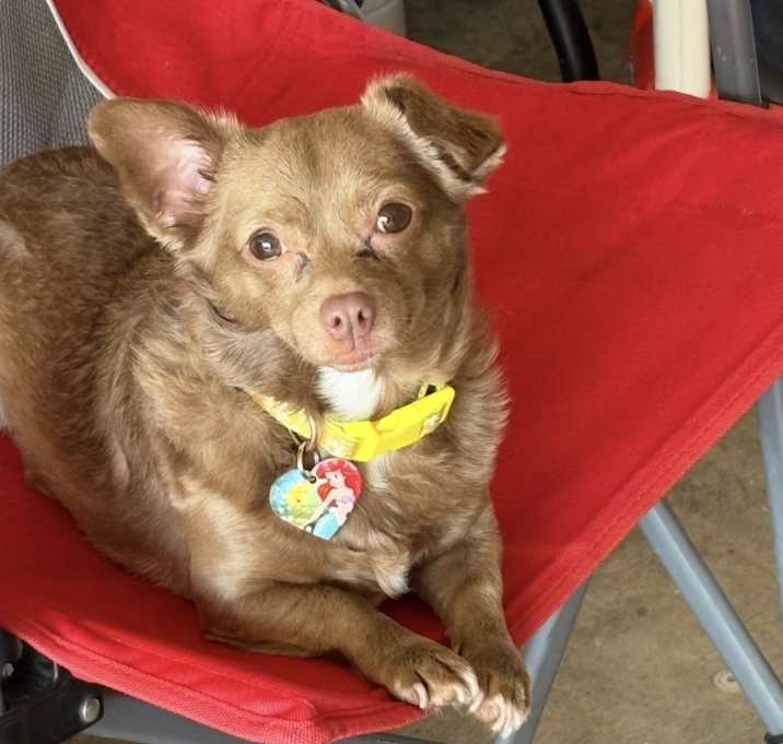 Photo of Bella