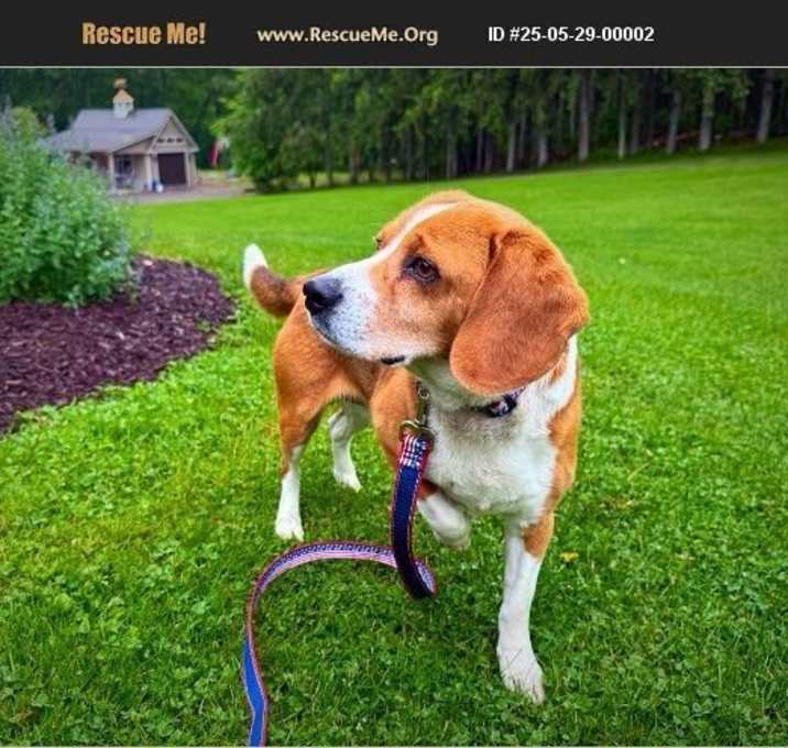 Photo of Winston