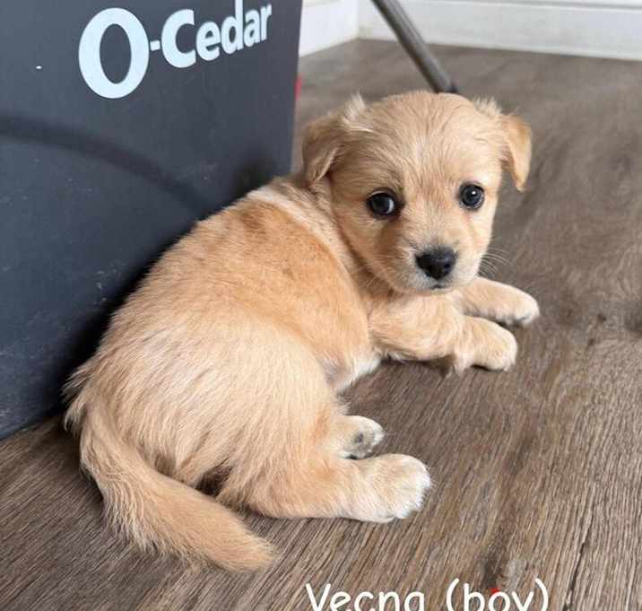 Photo of Vecna
