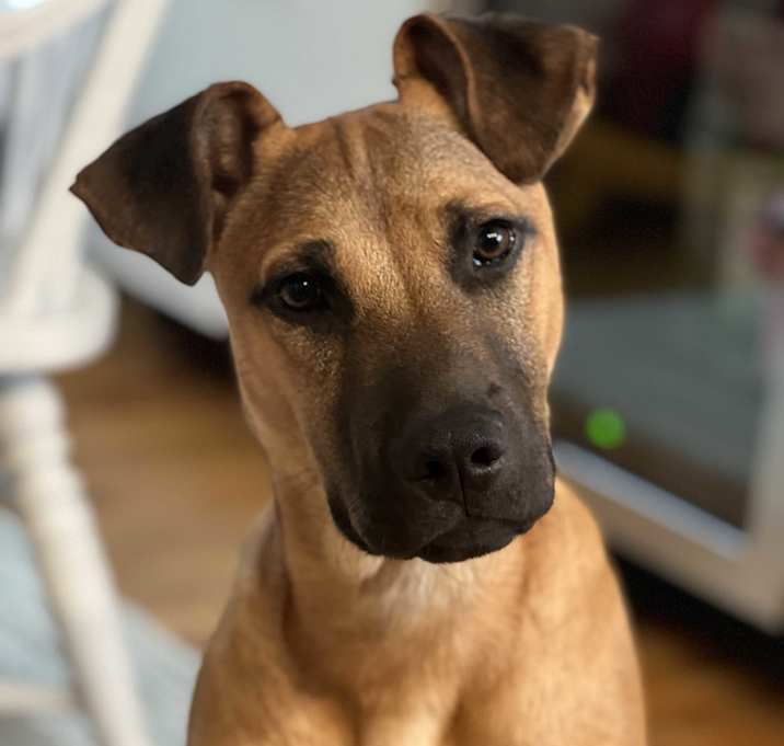 Photo of POLO