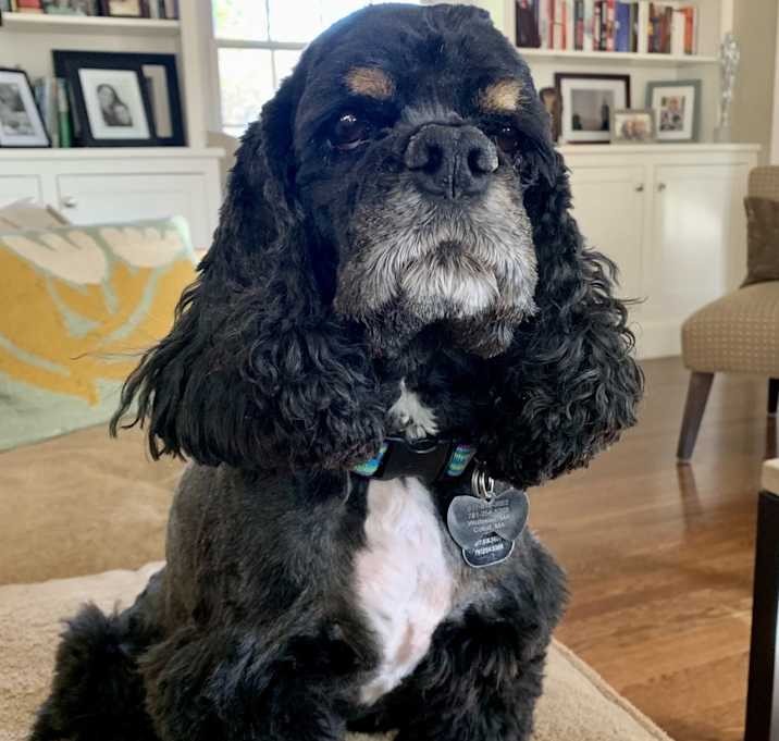Photo of Tiny