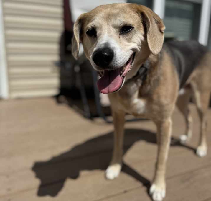 Photo of Skylar