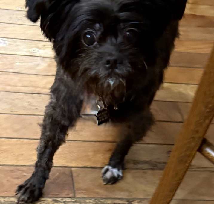 Photo of Coco Latte