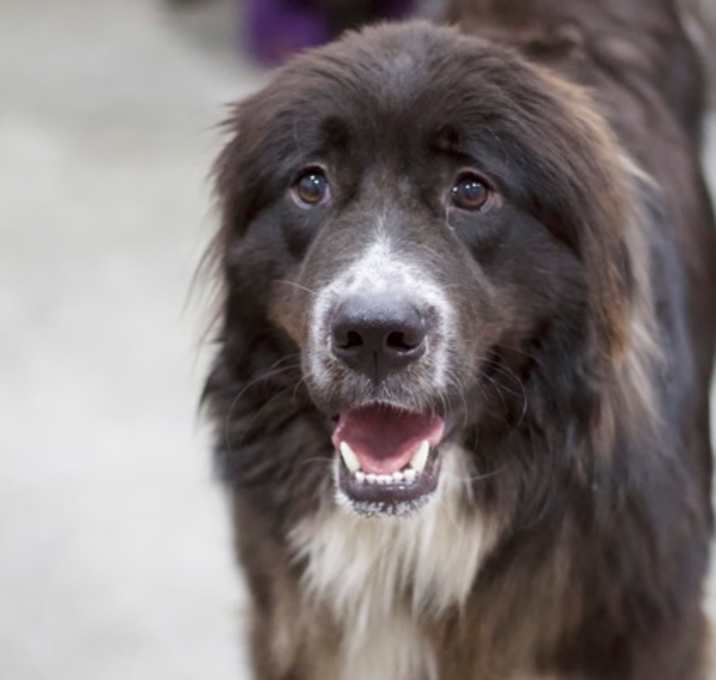 Photo of Gus