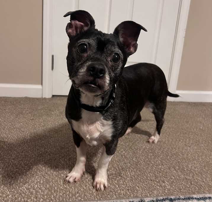 Photo of Reggie