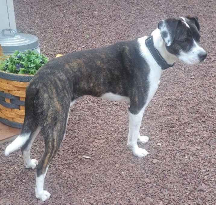 Photo of Charlie Lower Fee! In PA!