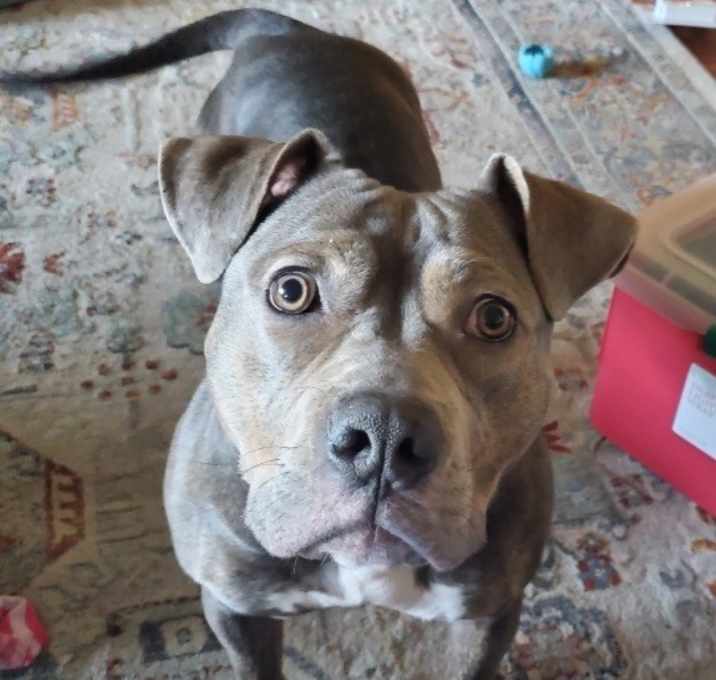 Photo of Nala