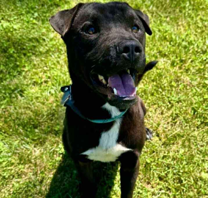 Photo of Jet