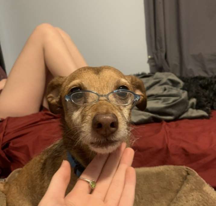 Photo of Mollie
