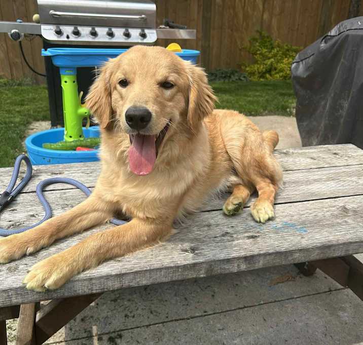 Photo of CHARLIE