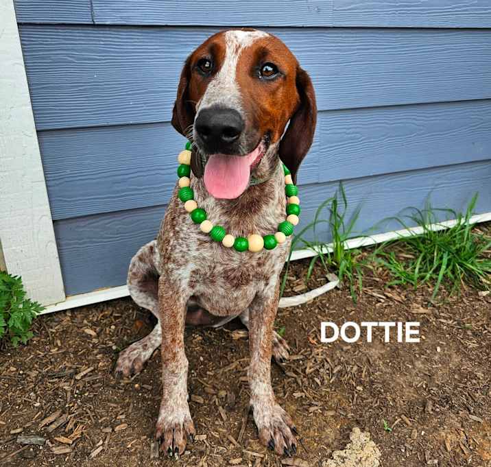 Photo of Dottie May