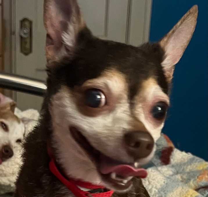 Photo of Peggy