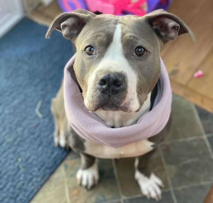 Photo of Zoe