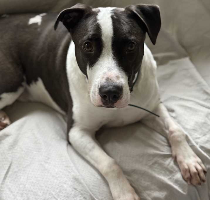 Photo of Captain