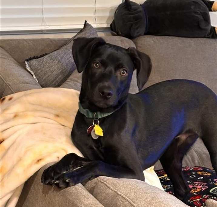 Photo of Murphy