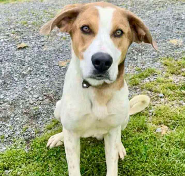 Photo of Woody