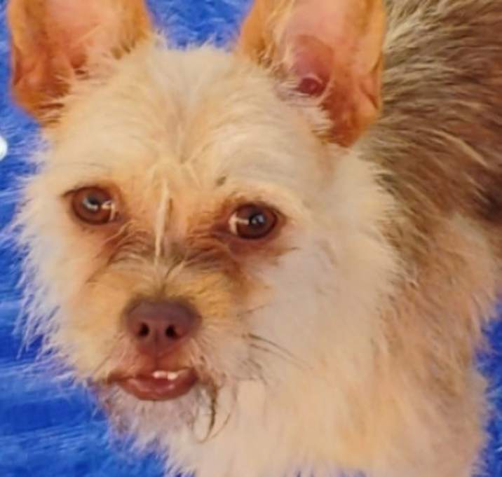 Photo of Sukie