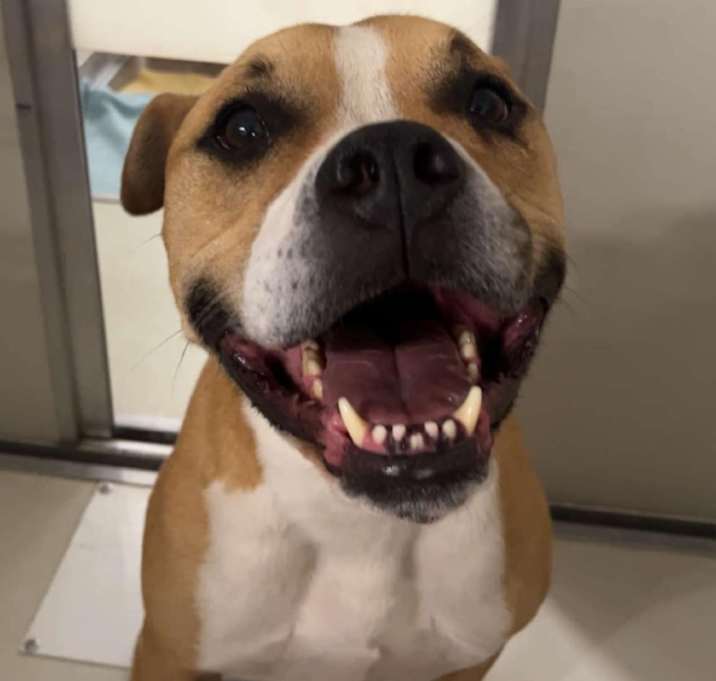 Photo of Jax