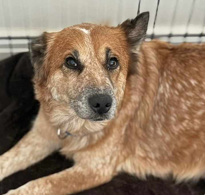 Photo of Clementine