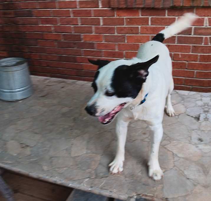 Photo of Blue
