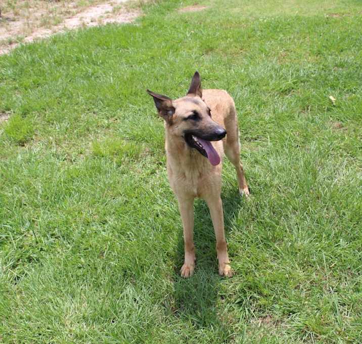 Photo of Nala