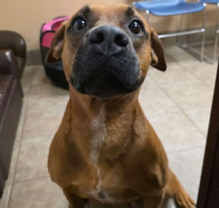 Photo of Rosalita