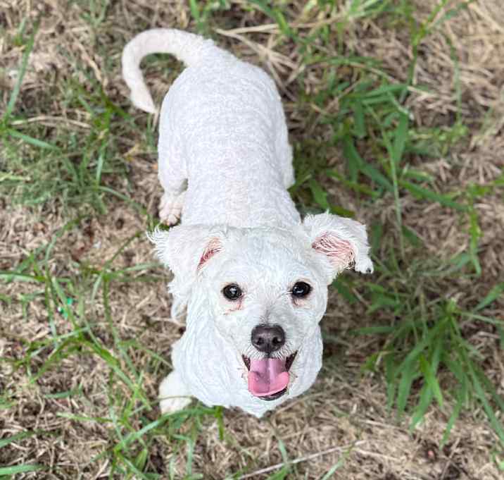Photo of Chloe