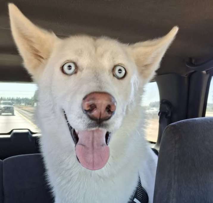 Photo of Ghost