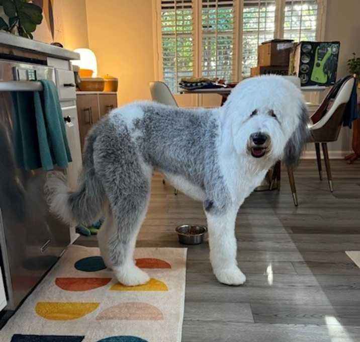 Photo of Wally