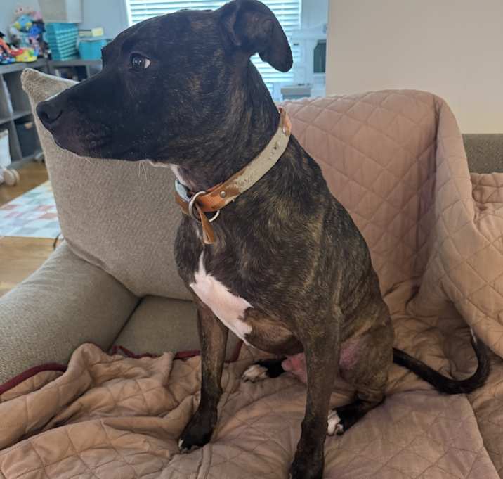 Photo of Murphy