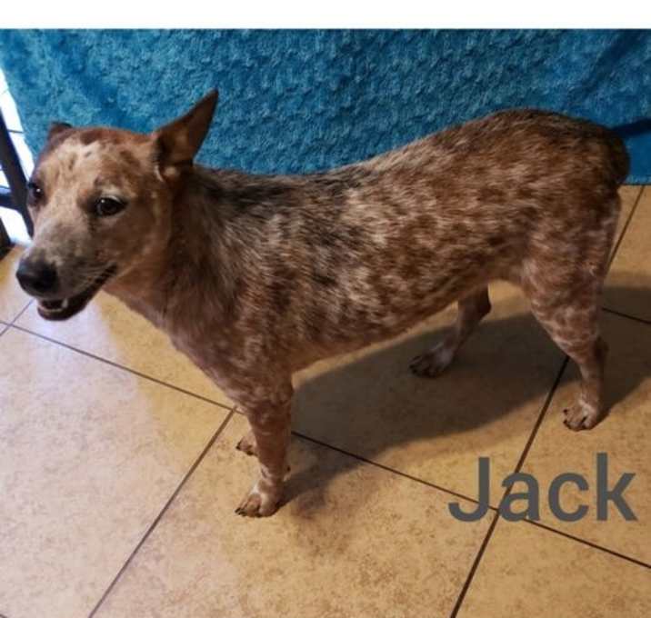 Photo of Jack