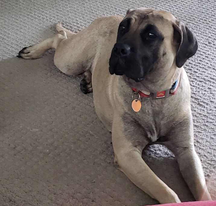 Photo of Athena