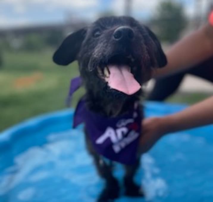 Photo of MIA PIA