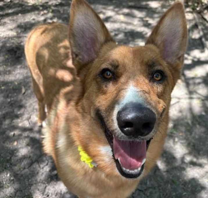 Photo of Lucy