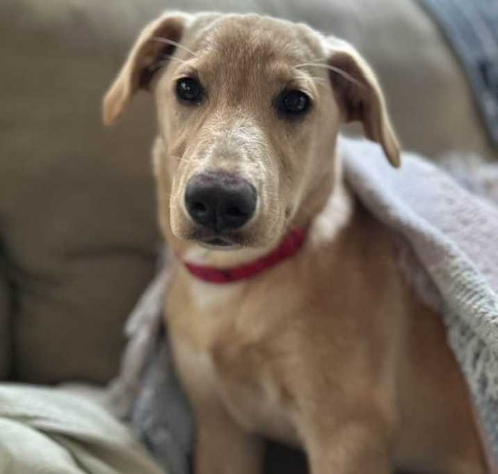 Photo of Buffy