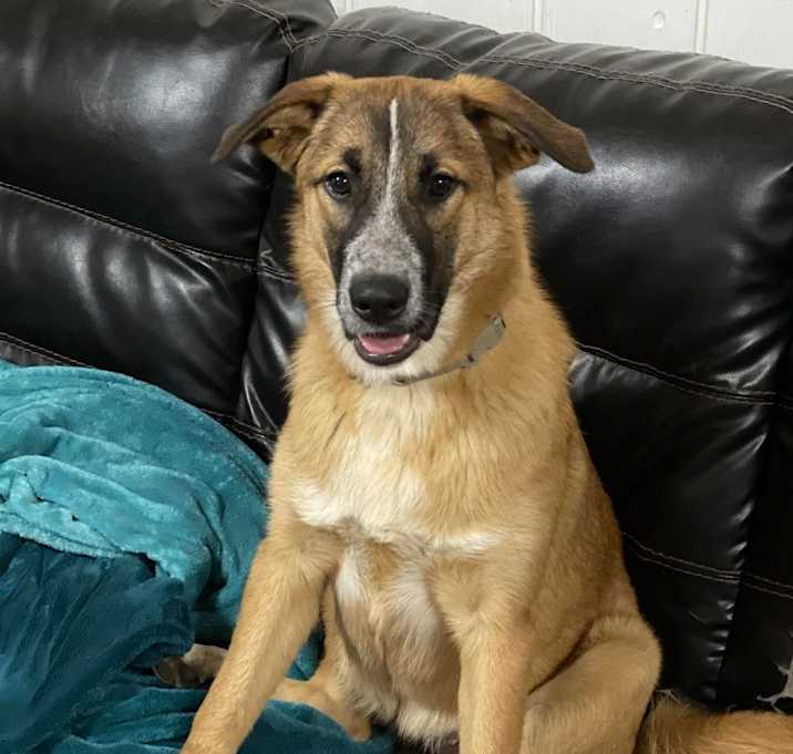 Photo of Moxie